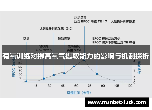 有氧训练对提高氧气摄取能力的影响与机制探析